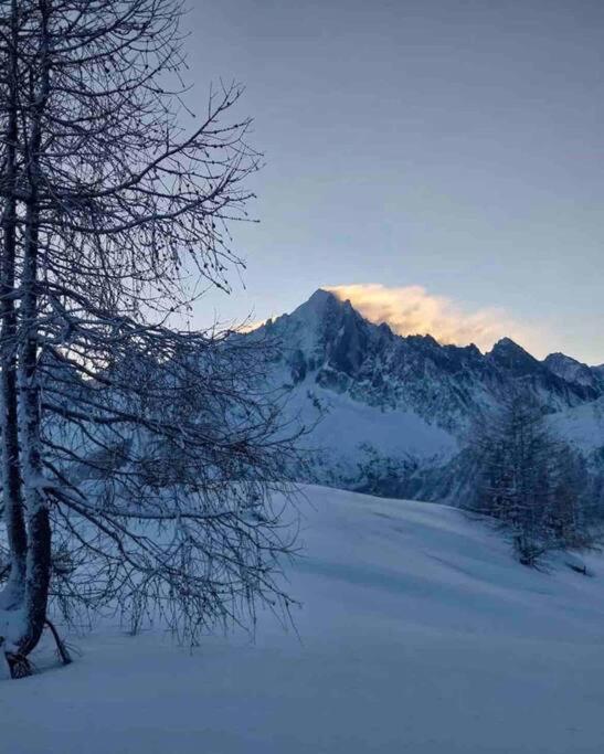 Ski Chamonix, Saint Gervais Et Mont-Blanc Passy  Extérieur photo